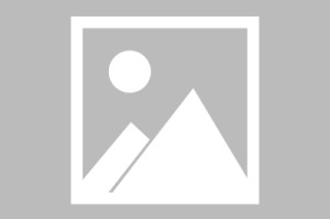 开元棋牌官方网站-历史首冠！丁立人、居文君率中国队赢得上合国家国象赛|卫冕冠军|余泱漪|冠军|俄罗斯队|比赛